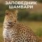 Постер Заповедник Шамвари (2018)