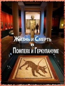 Постер Жизнь и смерть в Помпеях и Геркулануме (The Other Pompeii: Life & Death in Herculaneum)