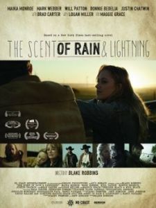 
Запах дождя и молнии (2016) 