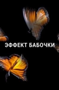 Постер Эффект бабочки (Butterfly Effect)