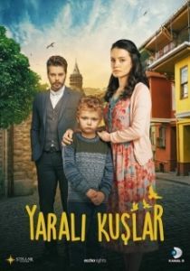 Раненые птицы (1 сезон) 
