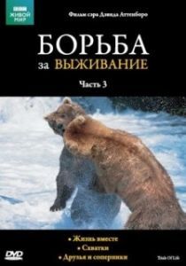 Постер BBC: Борьба за выживание (The Trials of Life)