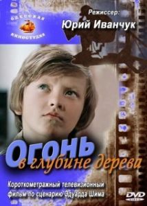 Постер Огонь в глубине дерева