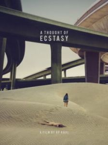 Постер В поисках наслаждения (A Thought of Ecstasy)