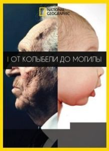 Постер От колыбели до могилы (Cradle to Grave)