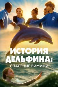 Постер История Дельфина: Спасение Бимини (Saving Bimini)