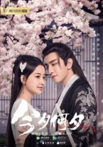 Постер Какая сегодня ночь! (Jin xi he xi)
