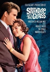 
Великолепие в траве (1961) 