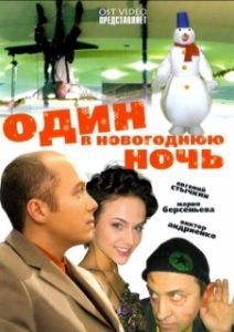 Постер Один в новогоднюю ночь
