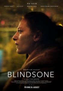 Постер Слепое пятно (Blindsone)