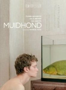 Постер Линь (Muidhond)