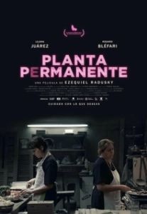 
Столовая (2019) 