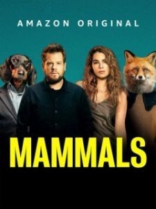 Постер Млекопитающие (Mammals)
