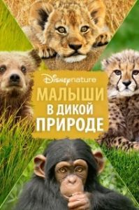 
Малыши в дикой природе (2016) 