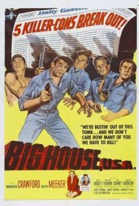 Постер Большой дом (Big House, U.S.A.)