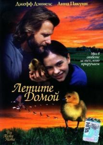 Постер Летите домой (Fly Away Home)