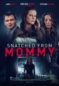 Постер Ярость матери (Snatched from Mommy)