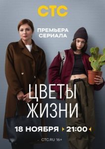 Постер Цветы жизни