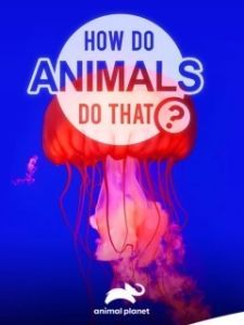 Постер Удивительный мир животных (How do Animals do That)