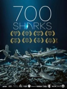 Постер 700 акул (700 Sharks)