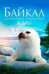 
Байкал. Удивительные приключения Юмы (2020) 