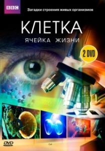 BBC: Клетка 

