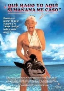 
Особенности холостяцкой вечеринки (1994) 