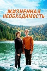 
Пердрикс (2019) 