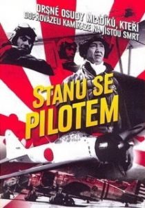 
Я буду пилотом (1968) 