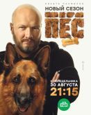 Постер Пёс (2015)
