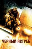 Постер Чёрный ястреб (2001)