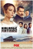 Постер Шторм ласточки (2017)