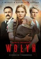 Постер Волынь (2016)