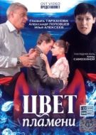 Постер Цвет пламени (2010)