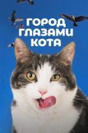 Постер Город глазами кота (2018)