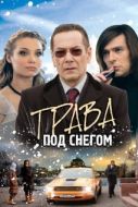 Постер Трава под снегом (2010)