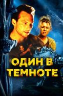 Постер Один в темноте (2004)