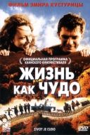 Постер Жизнь как чудо (2004)