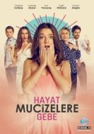 Постер Жизнь полна чудес (2015)
