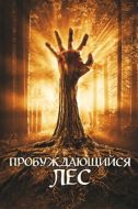 Постер Пробуждающийся лес (2009)