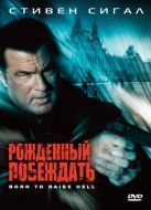 Постер Рожденный побеждать (2010)