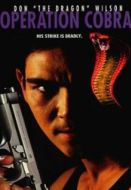 Постер Инферно (1997)