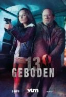 Постер 13 заповедей (2017)