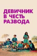 Постер Девичник в честь развода (2024)