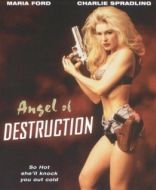 Постер Ангел разрушения (1994)