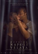 Постер Неаполь под пеленой (2017)