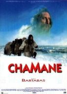 Постер Шаман (1996)