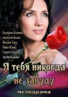Постер Я тебя никогда не забуду (2013)