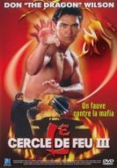 Постер Огненное кольцо 3: Удар льва  (1994)