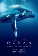 Постер Дэвид Аттенборо: Океан (2025)